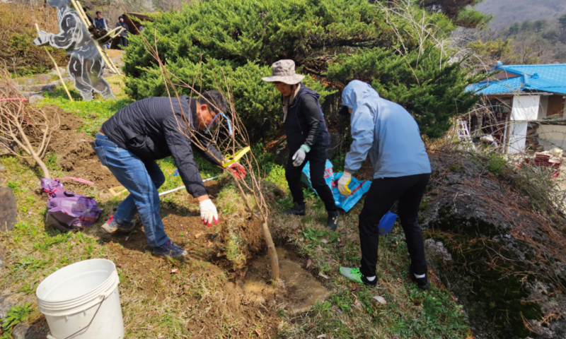 
&nbsp;일시 : 2026년 4월 11일 토요일 오전10시&nbsp;장소 : 도시복생가&nbsp;참여단체 :&nbsp;기마봉사대, 길라잡이봉사단, 꼼지라기, 다꿈가족봉사단, 도시복가족봉사단, 부부가족봉사단, 예쁜천사교육리더, (사)예천군종합자원봉사센터, 예천군청 사회복지과 희망복지지원팀, 청년씨드&nbsp;활동내용 :&nbsp;오늘 도시복생가에서 배롱나무 심기 활동을 진행했습니다. 자원봉사자분들과 함께 한 그루 한 그루 정성을 담아 나무를 심으며, 앞으로 이 공간이 더 아름답게 채워질 모습을 기대해보는 시간을 가졌습니다. 이번 활동은 단순한 식재를 넘어,&nbsp;지역의 공간에 생명을 더하고, 함께 만들어가는 의미 있는 자리였습니다.
함께해주신 모든 자원봉사자분들 덕분에&nbsp;도시복생가가 한층 더 따뜻한 공간으로 채워졌습니다. 오늘 심은 배롱나무는 시간이 흐를수록 더 풍성한 모습으로 자라나 이곳을 찾는 많은 분들에게 쉼과 아름다움을 전해줄 예정입니다. 함께해주셔서 진심으로 감사드립니다!



  
    
      
    
    
      
    
  

  
    
      
    
    
      
    
  

  
    
      
    
    
      
    
  
