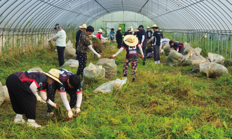 
&nbsp;일시 : 2026년 8월12일(수)~1４일(금)&nbsp;장소 : 용궁면 일대&nbsp;참여단체 : 국립경국대학교 총학생회&nbsp;활동내용 : 8월 12일부터 1４일까지 국립경국대학교 총학생회 대학생들이 예천군 용궁면을 찾아 지역문화 탐방과 농촌일손돕기 자원봉사활동을 진행했습니다.
이번 활동은 농촌일손돕기와 지역문화 탐방을 연계해, 대학생들이 예천의 지역문화를 경험하고 농촌의 일상을 직접 이해할 수 있도록 마련되었습니다.
먼저 학생들은 강문화전시관을 방문해 예천의 역사와 문화, 자연환경을 알아보는 시간을 가졌으며, 이어 회룡포 장안사와 전망대를 찾아 아름다운 자연경관과 지역의 문화자원을 직접 둘러보았습니다.
지역을 알아가는 시간을 가진 뒤에는 용궁면 소재 미나리 농가를 찾아 본격적인 농촌일손돕기에 나섰습니다. 학생들은 미나리 종구 손질 작업에 참여해 부족한 농촌 일손에 힘을 보태고, 무더운 날씨 속에서 함께 구슬땀을 흘리며 농업 현장의 어려움을 직접 경험했습니다.
이번 활동은 단순히 일손을 돕는 데 그치지 않고, 지역을 둘러보고 이해한 뒤 농촌 현장에서 직접 봉사를 실천하는 ‘볼런투어형 자원봉사활동’으로 진행됐다는 점에서 의미를 더했습니다.
낯선 지역을 찾아 자신의 시간과 노력을 기꺼이 나누어 준 국립경국대학교 총학생회 학생들에게 감사드리며, 이번 만남이 예천과 청년들이 서로를 알아가고 다시 이어지는 소중한 인연이 되길 바랍니다.


&nbsp;